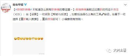 微信吃瓜表情包是哪个软件,微信吃瓜表情包背后的制作软件  第2张