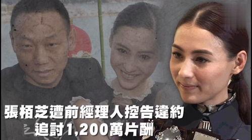 娱乐78吃瓜,揭秘娱乐圈那些吃瓜群众的幕后故事  第2张
